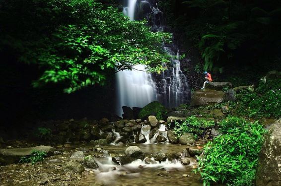 Curug Cipurut