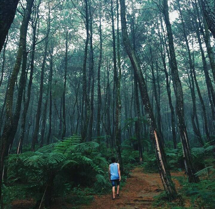 Pasir Langlang Panyawangan
